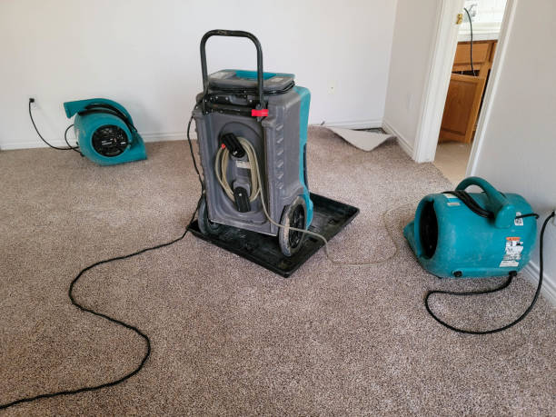 Best 24/7 water damage repair  in Battlement Mesa, CO