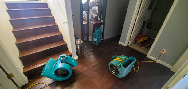 Trusted CO Water damage restoration Experts