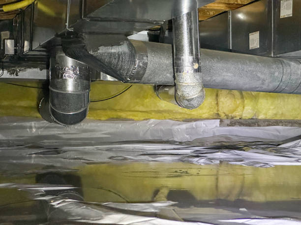 Best Water damage restoration cost  in Battlement Mesa, CO