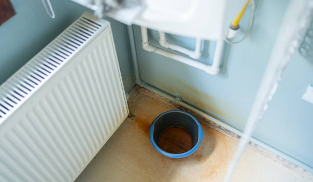Best Carpet water damage restoration  in Battlement Mesa, CO