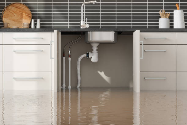 Best Water damage restoration near me  in Battlement Mesa, CO