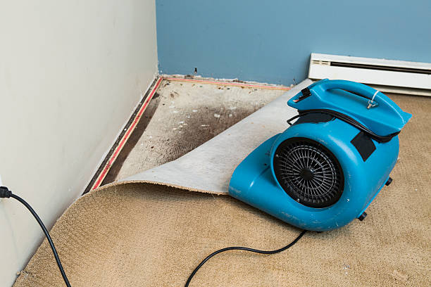 Carpet water damage restoration in CO